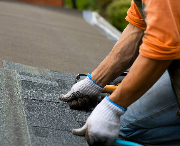 Best Roof Leak Repair  in Barclay, NJ